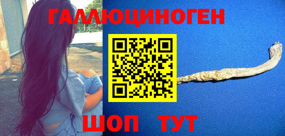 Галлюциногенные грибы Magic Shrooms  Галлюциногенные грибы MAGIC MUSHROOMS  Вход с VPN  Строитель 